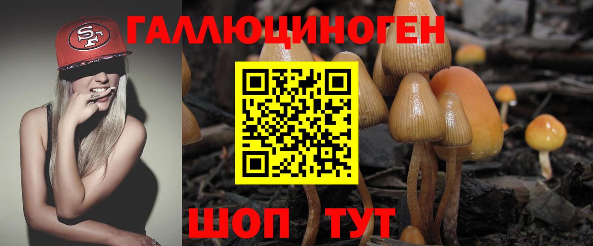 Галлюциногенные грибы прущие грибы Можайск