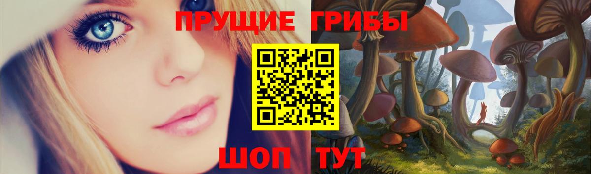 Галлюциногенные грибы GOLDEN TEACHER  сколько стоит  Можайск  Вход с VPN 